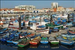 Fishing harbour in Setubal